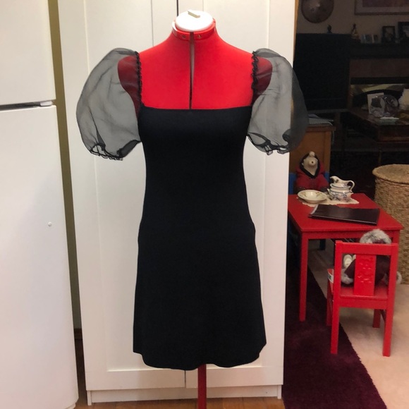 NWT body-con beauty with sheer puff sleeves